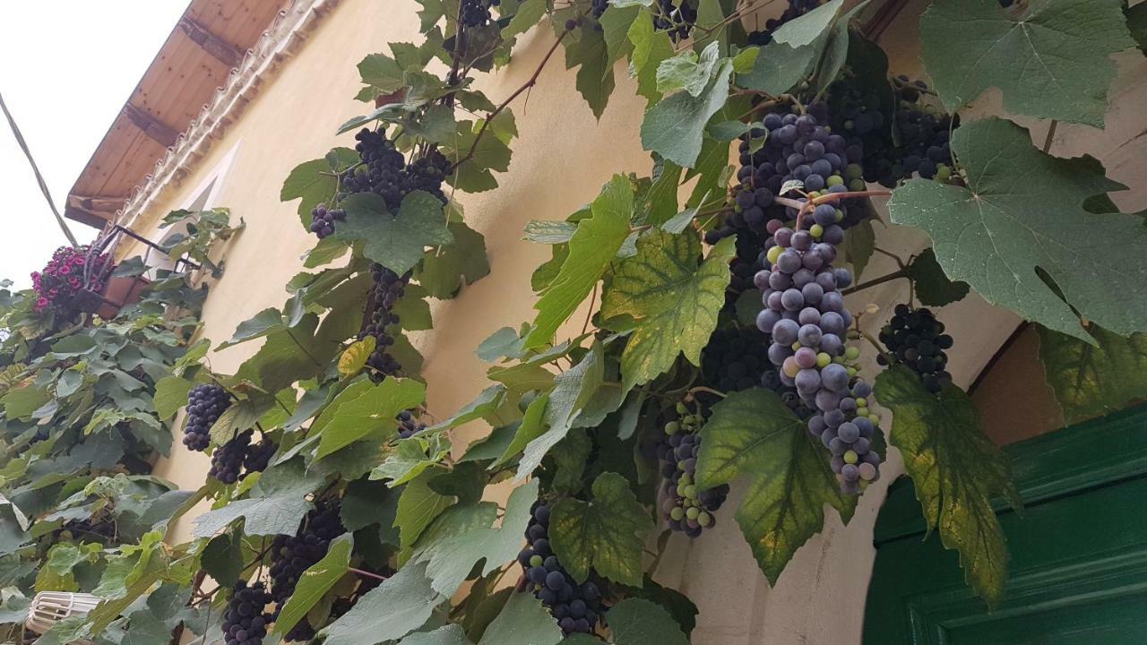 Scaccia Pensieri Villa Cerchio Bagian luar foto